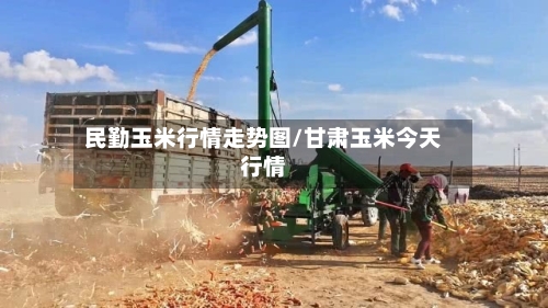 民勤玉米行情走势图/甘肃玉米今天行情