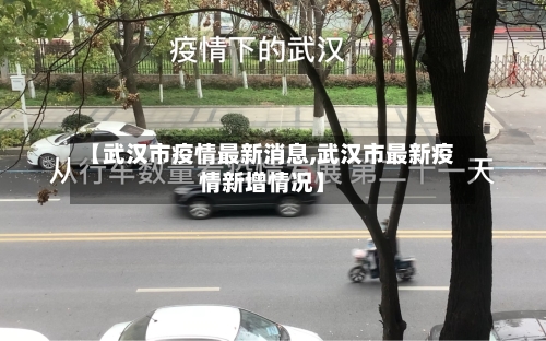【武汉市疫情最新消息,武汉市最新疫情新增情况】