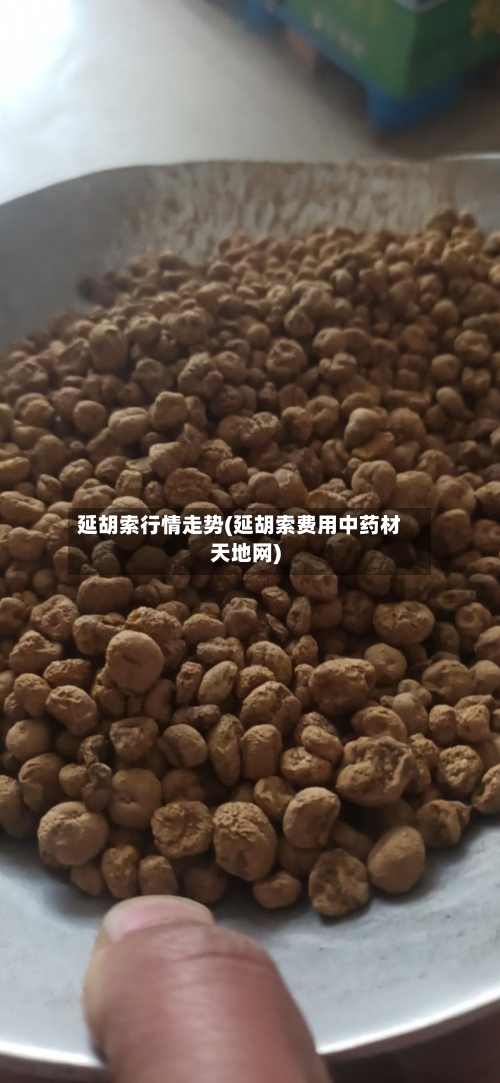 延胡索行情走势(延胡索费用中药材天地网)