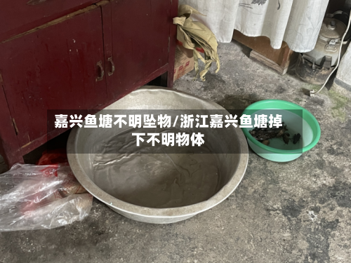 嘉兴鱼塘不明坠物/浙江嘉兴鱼塘掉下不明物体