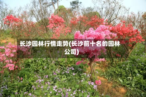 长沙园林行情走势(长沙前十名的园林公司)