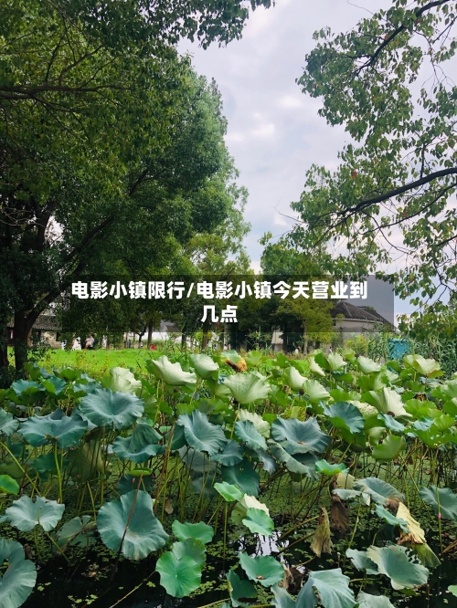 电影小镇限行/电影小镇今天营业到几点