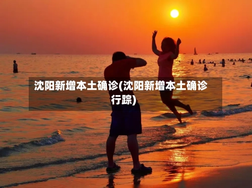 沈阳新增本土确诊(沈阳新增本土确诊行踪)