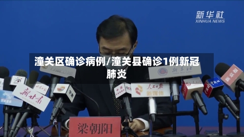潼关区确诊病例/潼关县确诊1例新冠肺炎