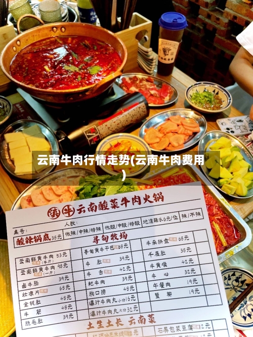 云南牛肉行情走势(云南牛肉费用)