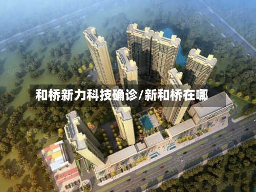 和桥新力科技确诊/新和桥在哪