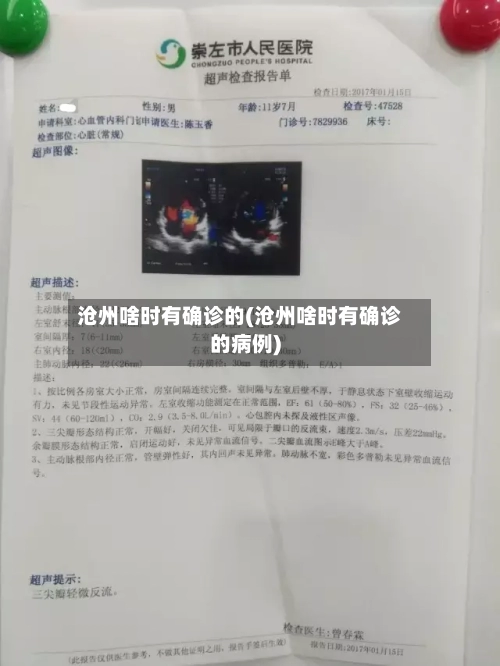 沧州啥时有确诊的(沧州啥时有确诊的病例)