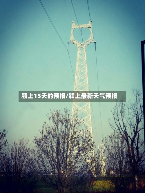 颍上15天的预报/颍上最新天气预报