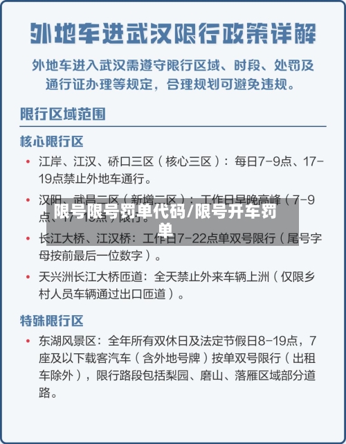 限号限号罚单代码/限号开车罚单