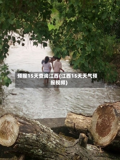 预报15天查询江西(江西15天天气预报视频)