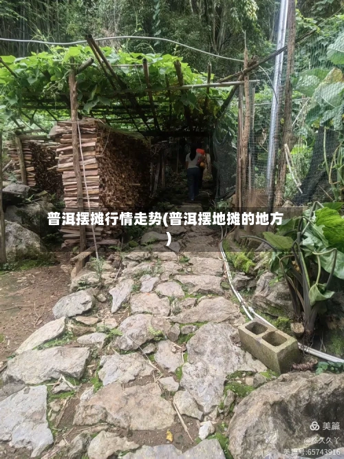 普洱摆摊行情走势(普洱摆地摊的地方)