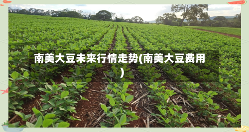 南美大豆未来行情走势(南美大豆费用)