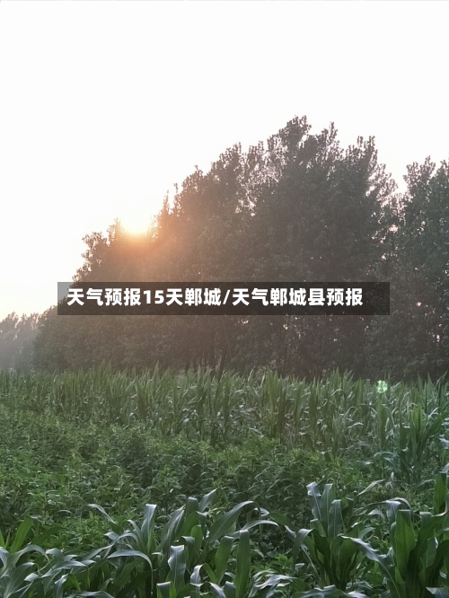 天气预报15天郸城/天气郸城县预报