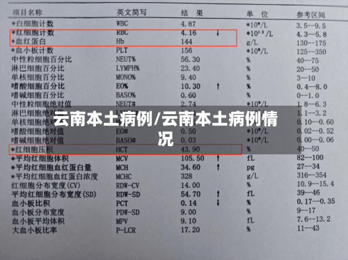 云南本土病例/云南本土病例情况
