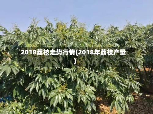 2018荔枝走势行情(2018年荔枝产量)