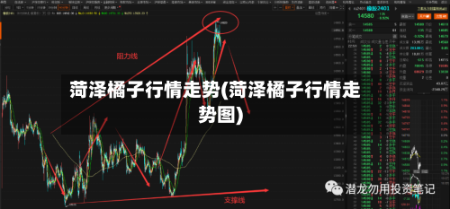 菏泽橘子行情走势(菏泽橘子行情走势图)