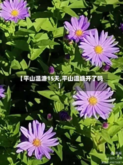 【平山温溏15天,平山温塘开了吗】