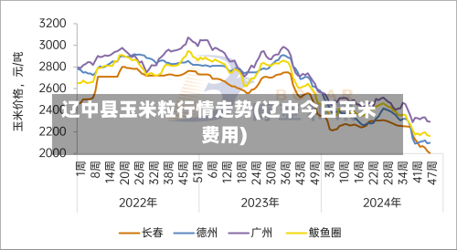辽中县玉米粒行情走势(辽中今日玉米费用)