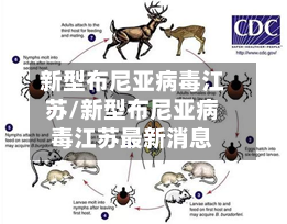 新型布尼亚病毒江苏/新型布尼亚病毒江苏最新消息