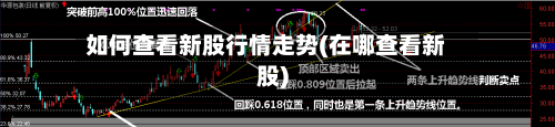 如何查看新股行情走势(在哪查看新股)