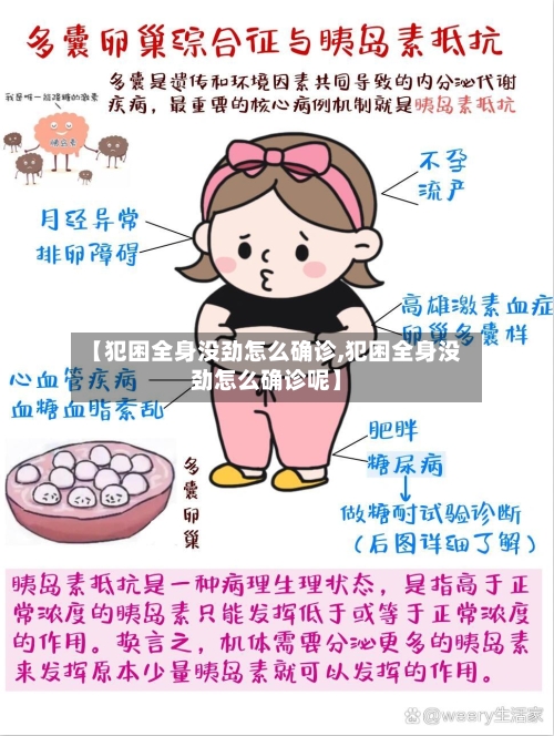 【犯困全身没劲怎么确诊,犯困全身没劲怎么确诊呢】