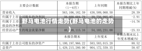野马电池行情走势(野马电池的走势)