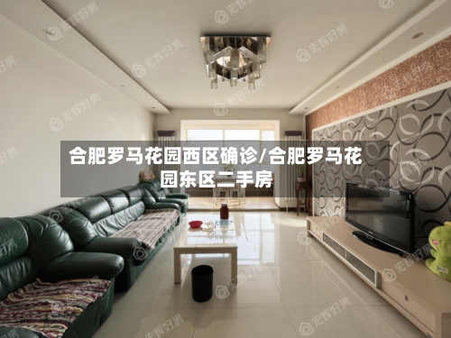 合肥罗马花园西区确诊/合肥罗马花园东区二手房