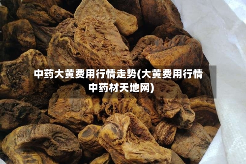 中药大黄费用行情走势(大黄费用行情中药材天地网)