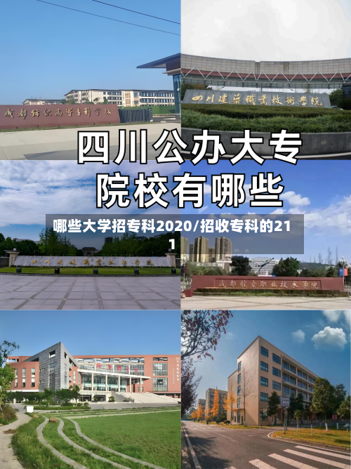 哪些大学招专科2020/招收专科的211