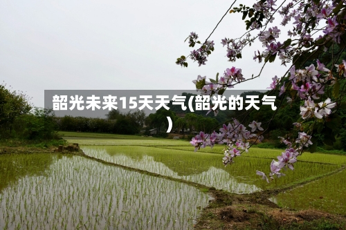 韶光未来15天天气(韶光的天气)