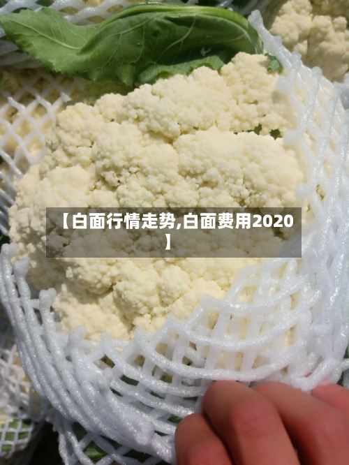 【白面行情走势,白面费用2020】