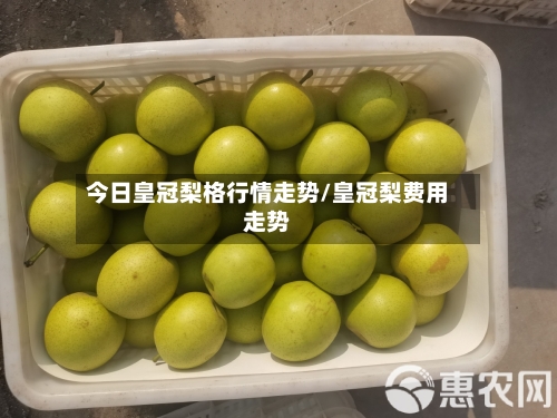 今日皇冠梨格行情走势/皇冠梨费用走势