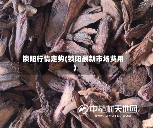 锁阳行情走势(锁阳最新市场费用)