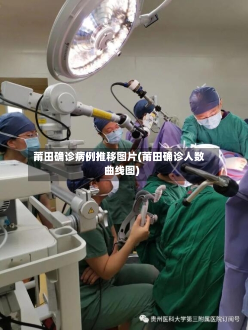 莆田确诊病例推移图片(莆田确诊人数曲线图)