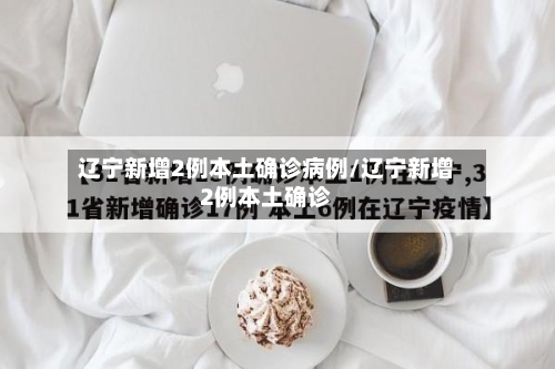 辽宁新增2例本土确诊病例/辽宁新增2例本土确诊