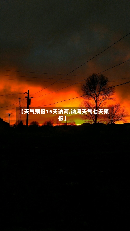 【天气预报15天讷河,讷河天气七天预报】