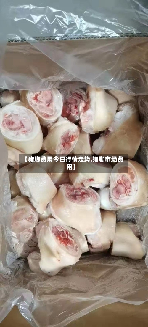 【猪脚费用今日行情走势,猪脚市场费用】