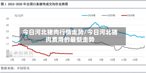 今日河北猪肉行情走势/今日河北猪肉费用的最新走势