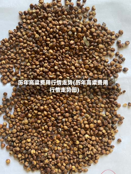 历年高粱费用行情走势(历年高粱费用行情走势图)