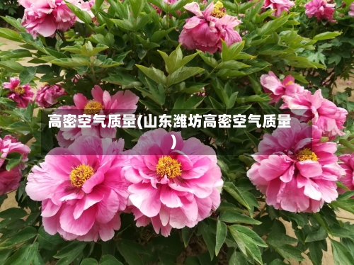 高密空气质量(山东潍坊高密空气质量)