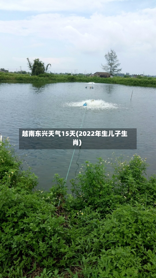 越南东兴天气15天(2022年生儿子生肖)