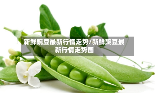 新鲜豌豆最新行情走势/新鲜豌豆最新行情走势图