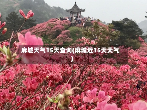 麻城天气15天查询(麻城近15天天气)