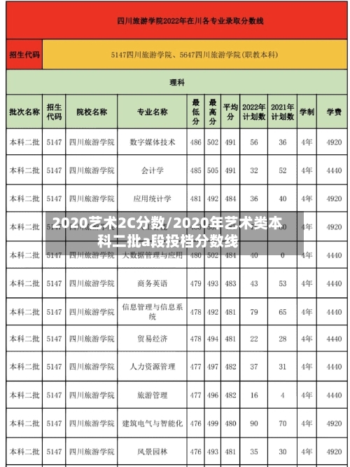 2020艺术2C分数/2020年艺术类本科二批a段投档分数线