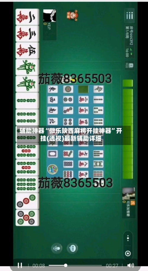 辅助神器“微乐陕西麻将开挂神器”开挂(透视)最新辅助详细