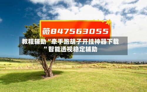 教程辅助“牵手跑胡子开挂神器下载”智能透视稳定辅助