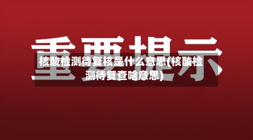 核酸检测待复核是什么意思(核酸检测待复查啥意思)