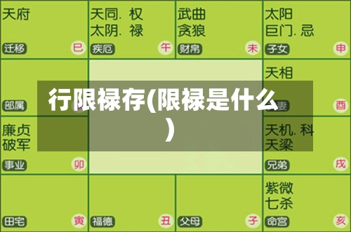 行限禄存(限禄是什么)