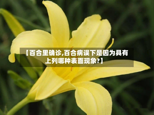 【百合里确诊,百合病误下是因为具有上列哪种表面现象?】