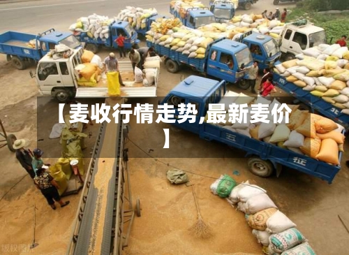 【麦收行情走势,最新麦价】